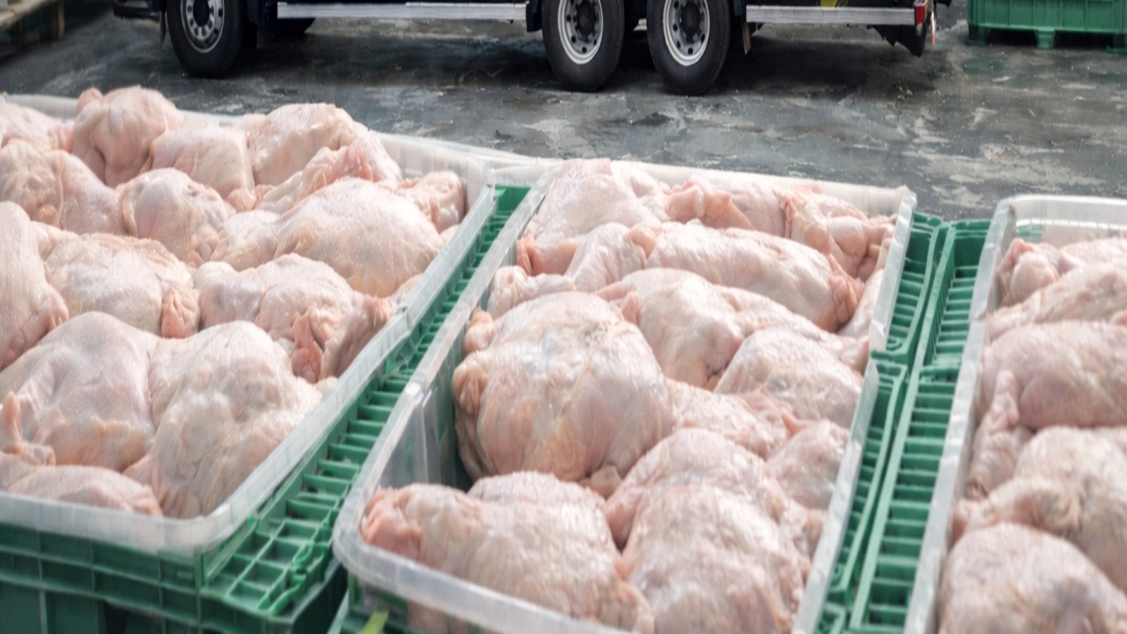 Pollo entero El Fortín refrigerado en cajón